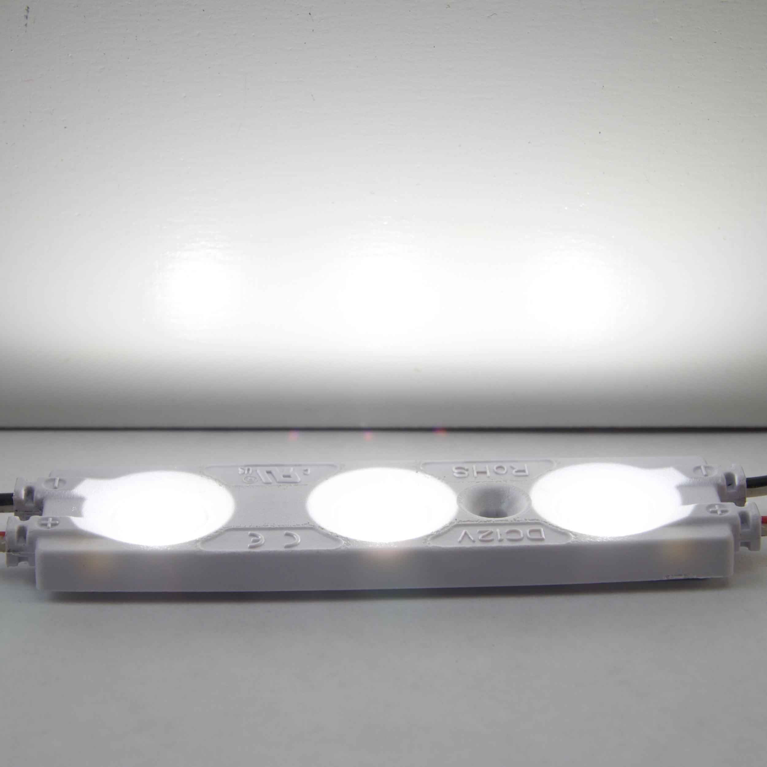PURALIGHT® 2 LED Light Module